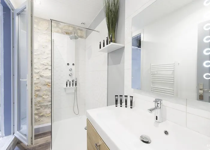 Du Guesclin Comédie Appartement Montpellier